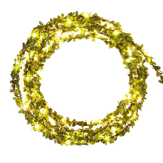 Maple Leaf Rattan 100 LED lamp x 10 meters